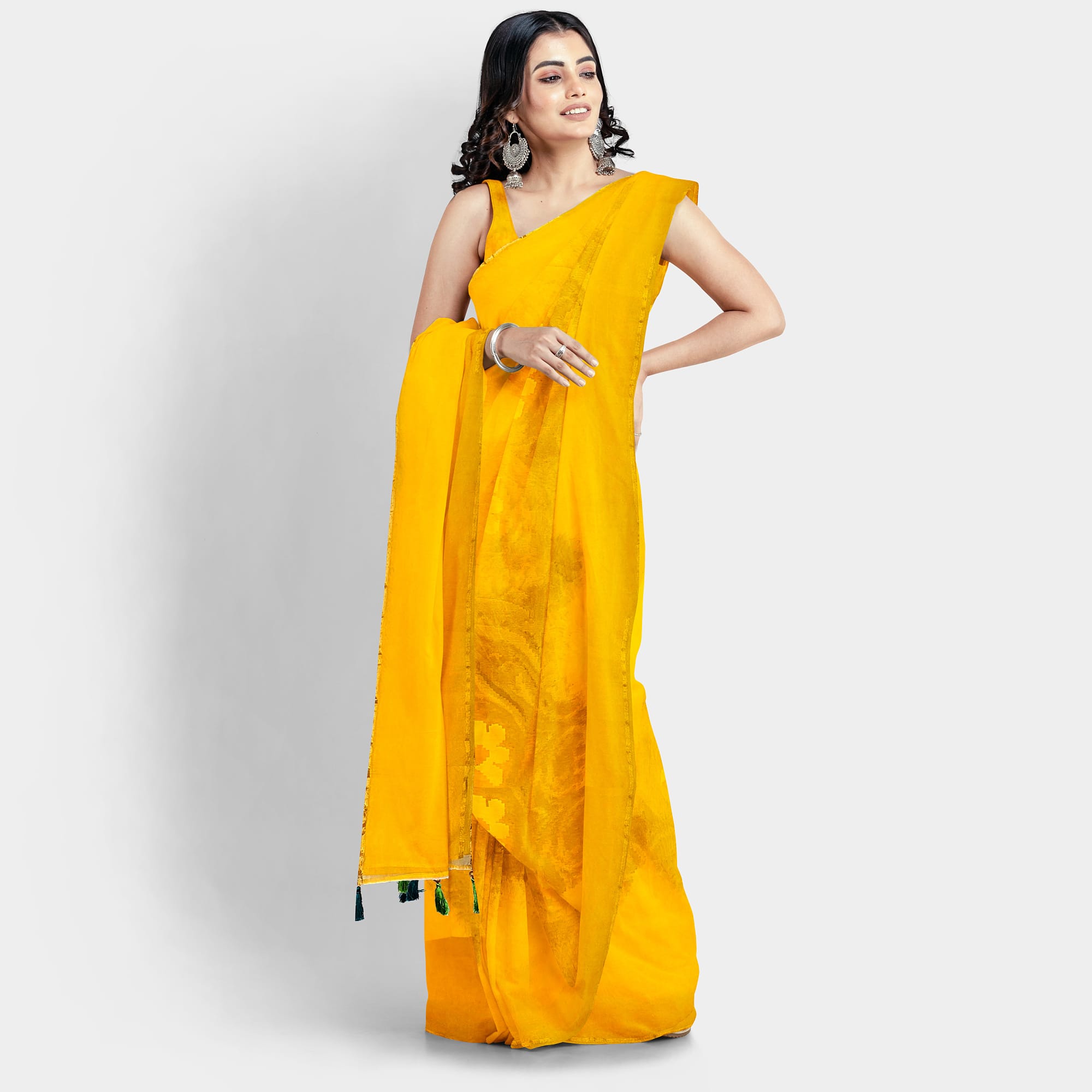 Yellow Tissue Sheer Saree - Image 3